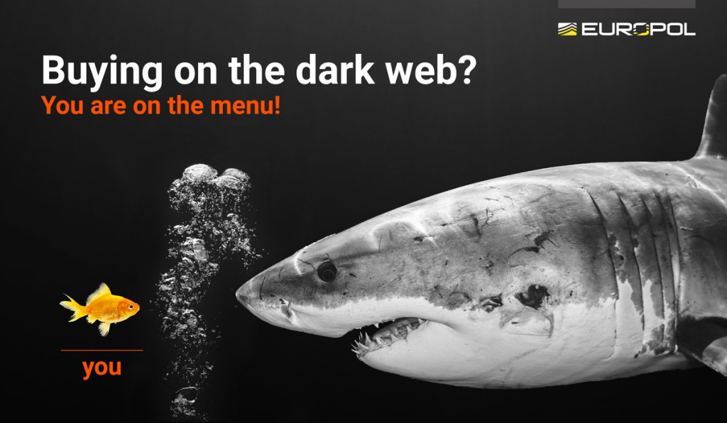 Sharkshop and the Dark Web Economy: Understanding the Risks of Stolen Card Data Markets
